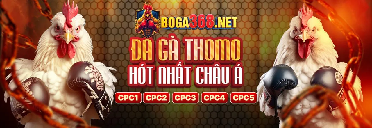Đá Gà Trực Tiếp Kịch Tính